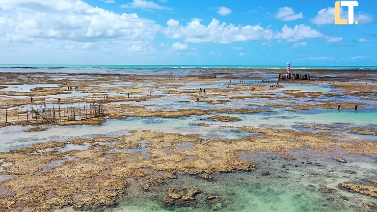Bedroom and Living Room 200mt Ponta Verde beach. 2 bathrooms
