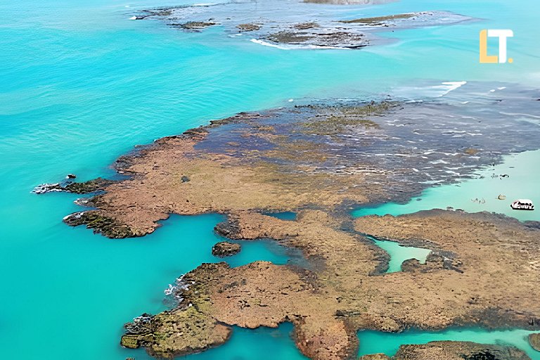Grenada 704 - Vista mar da ponta verde