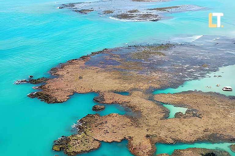 Smart Stay 504 | a 300m da praia