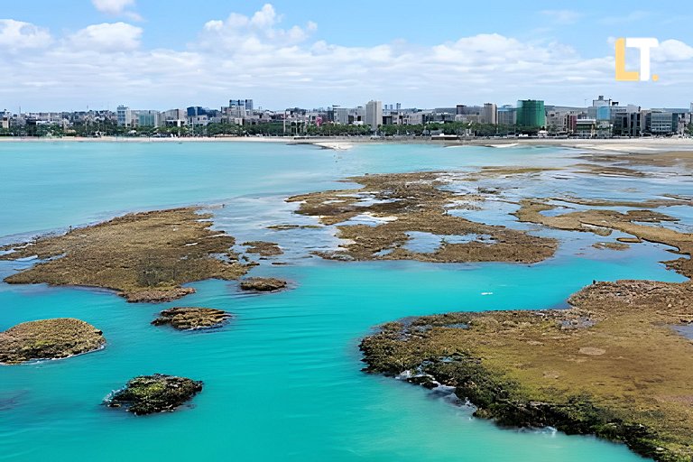 NEO328 | Beira mar de Pajuçara com vista mar!