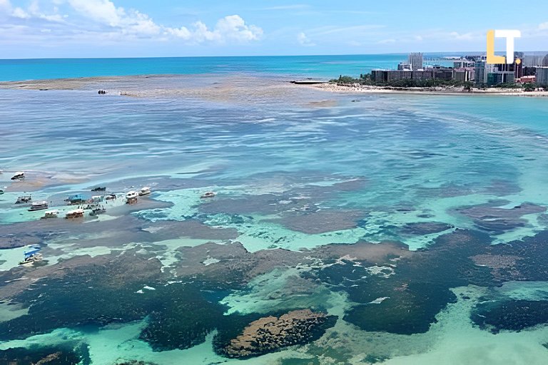 Smart Stay 1214 | Piscina | Academia | Ar na Sala